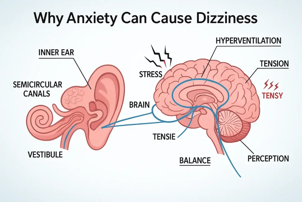  inner ear and brain connection with stress icons — depicting how hyperventilation and tension affect balance and perception